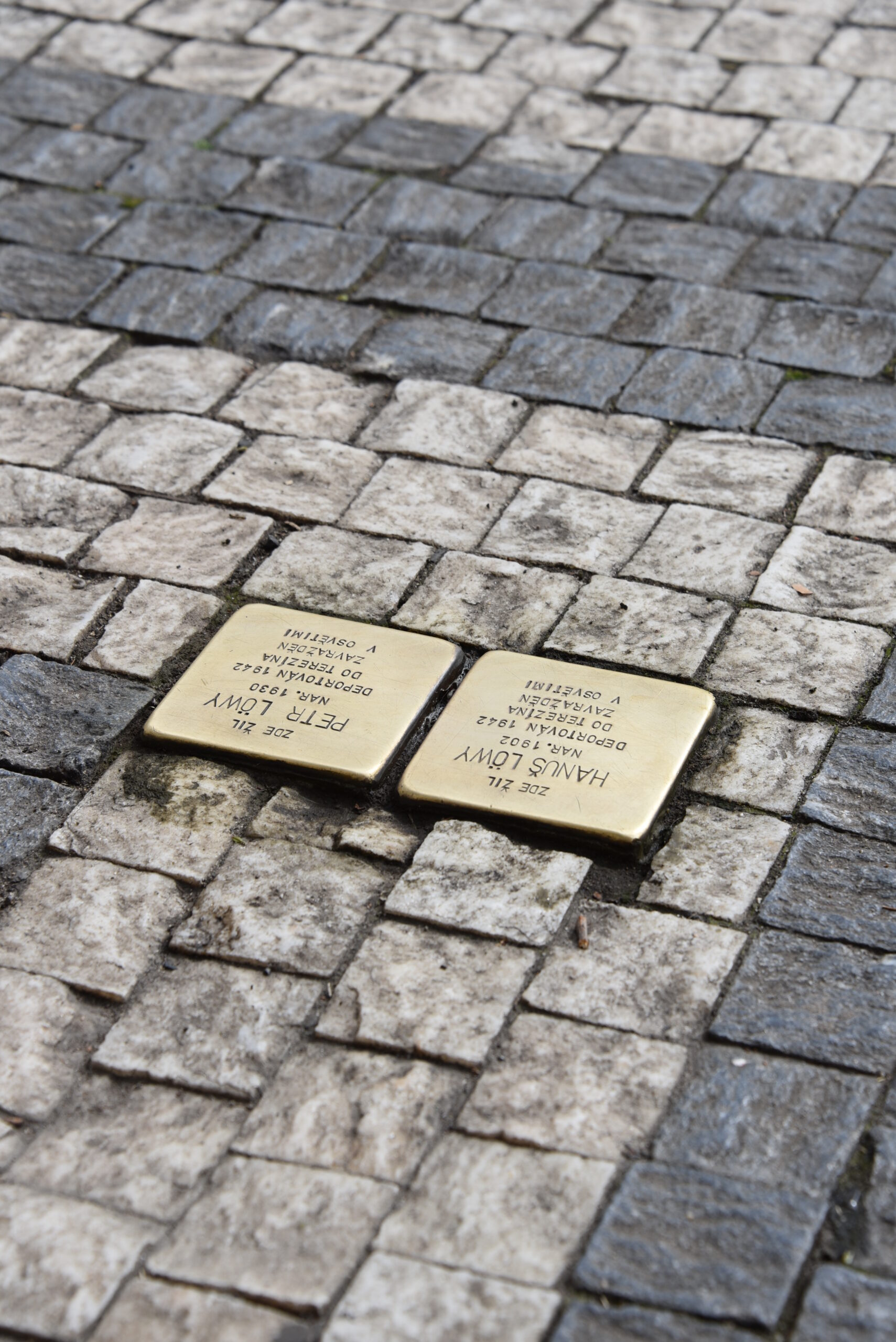 Stolpersteine_für_Hanus_und_Petr_Löwy_in_Prag_3